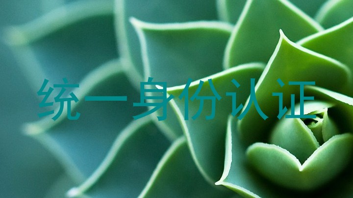 统一身份认证