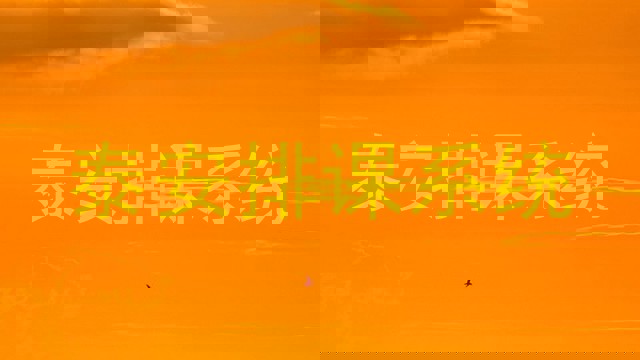 泰安排课系统