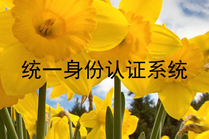 统一身份认证系统