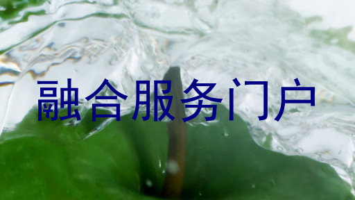 融合服务门户