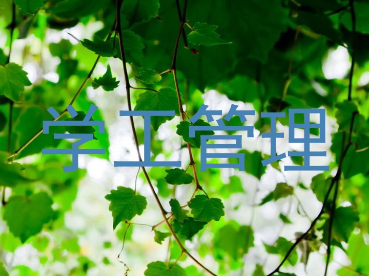 学工管理