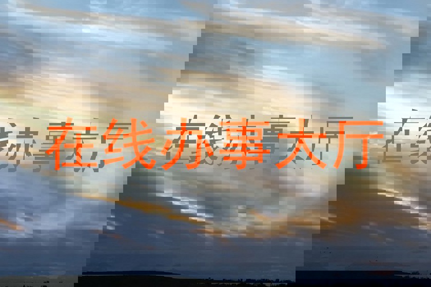 在线办事大厅