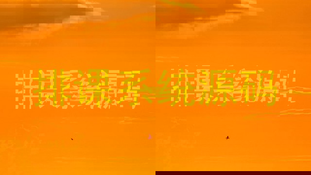 排课系统源码