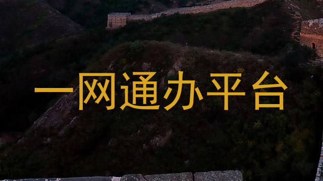 一网通办平台