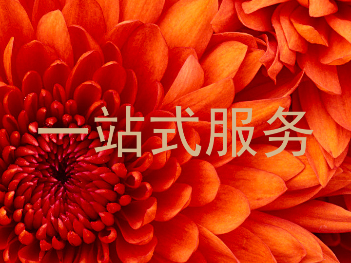 一站式服务