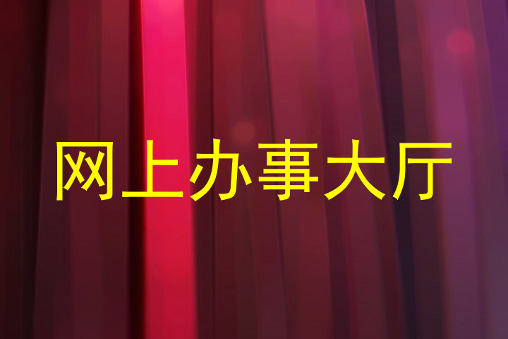 网上办事大厅