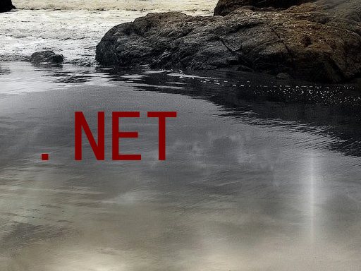 .NET