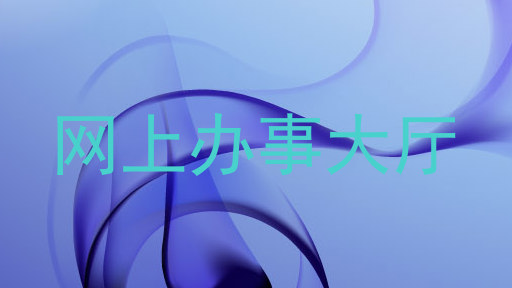 网上办事大厅