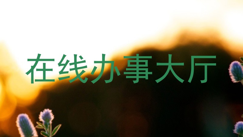 在线办事大厅