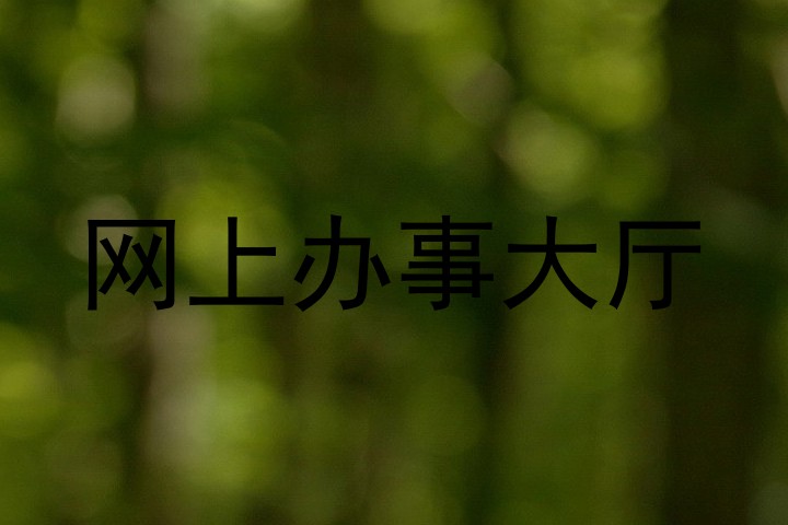 网上办事大厅