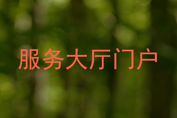 服务大厅门户