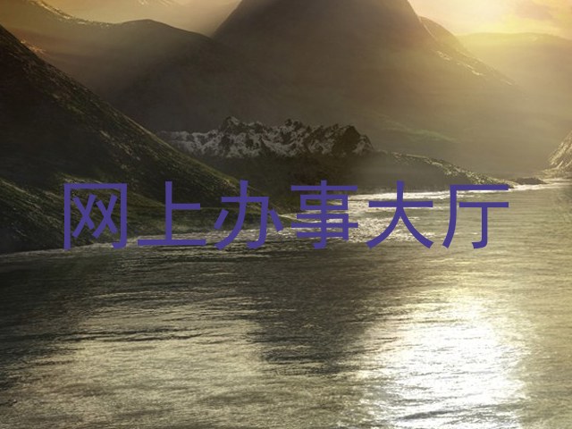 网上办事大厅