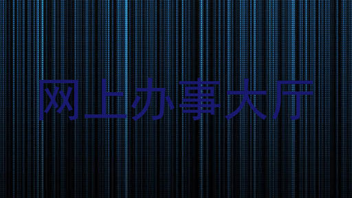 网上办事大厅