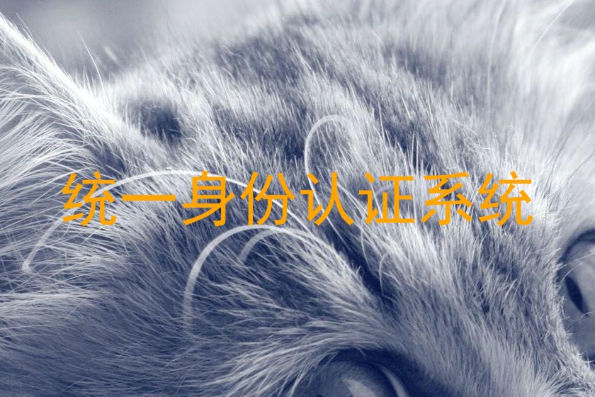 统一身份认证系统