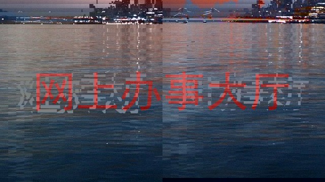 网上办事大厅
