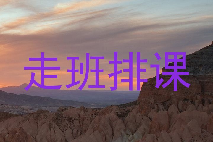 走班排课