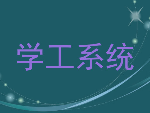 学工系统