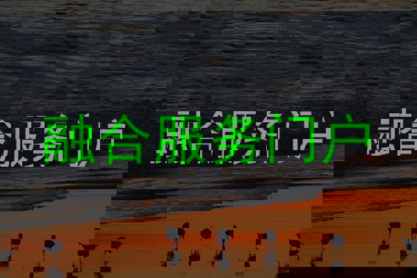 融合服务门户