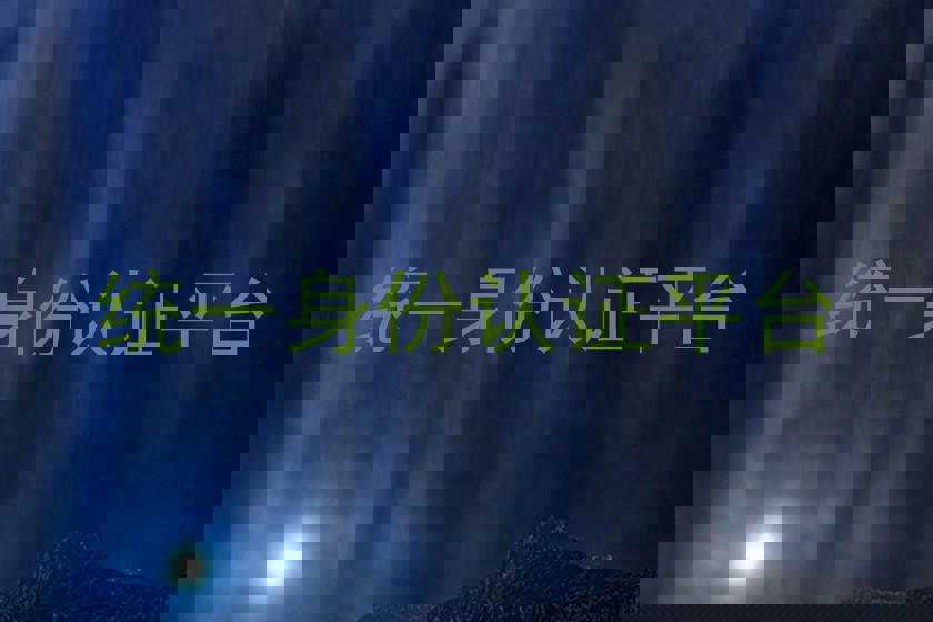 统一身份认证平台