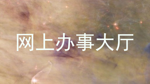 网上办事大厅