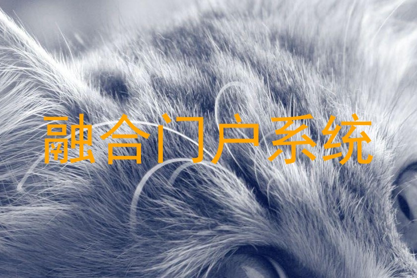 融合门户系统