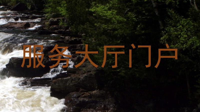 服务大厅门户