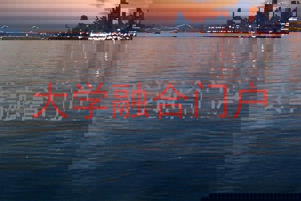 大学融合门户
