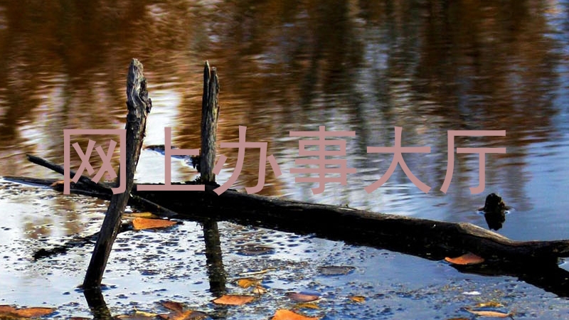 网上办事大厅