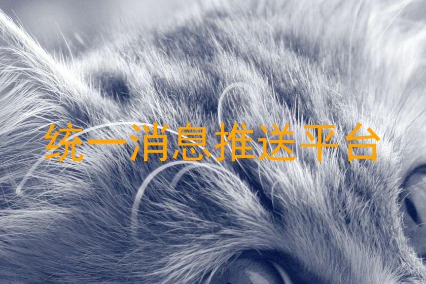 统一消息推送平台