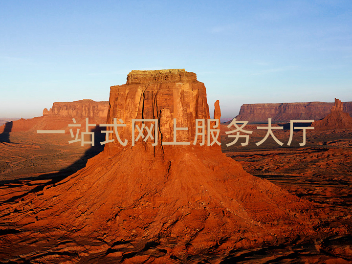 一站式网上服务大厅