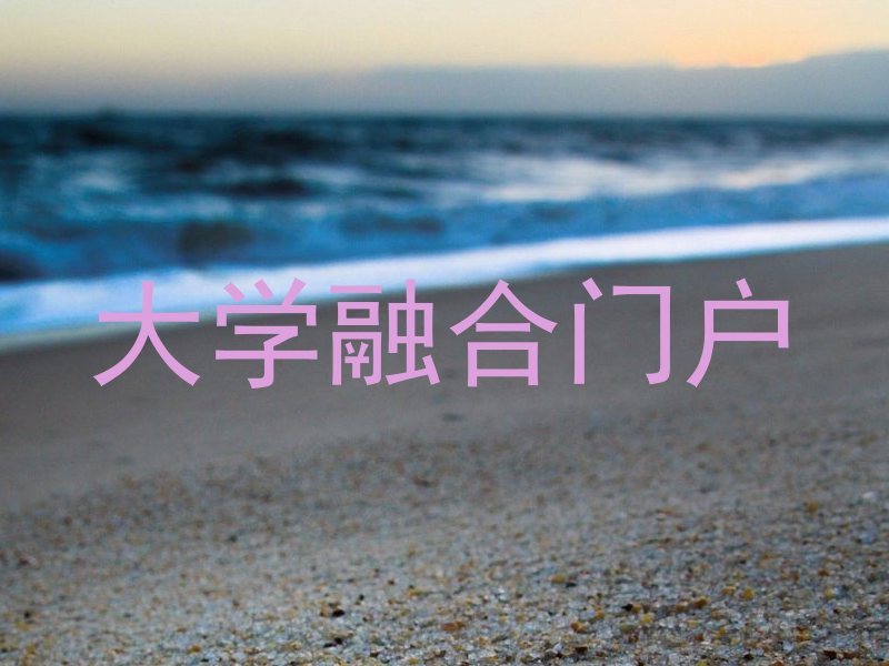 大学融合门户