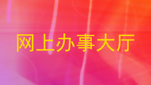 网上办事大厅