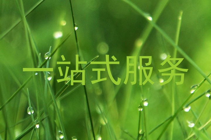 一站式服务