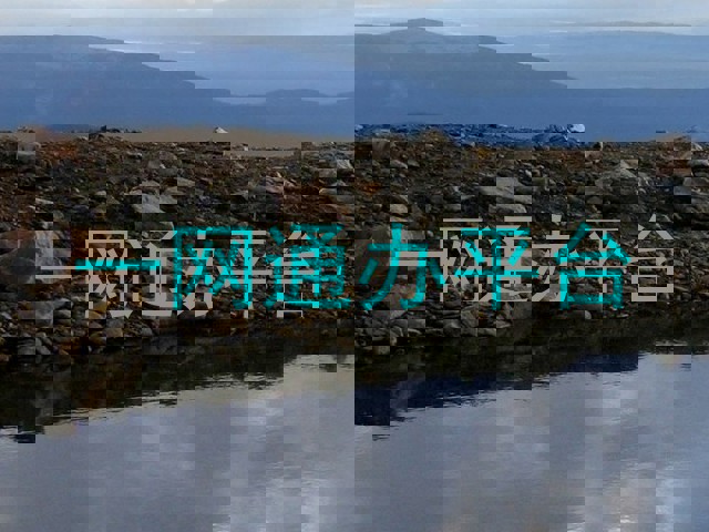 一网通办平台