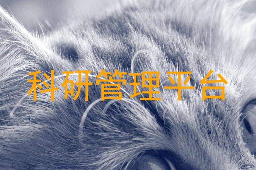 科研管理平台