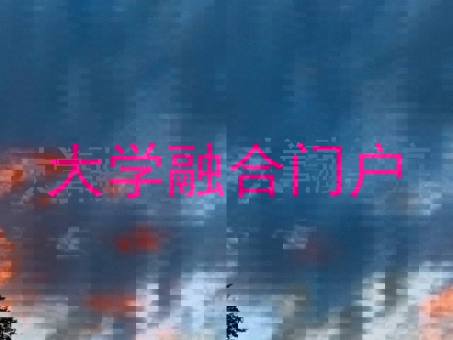 大学融合门户