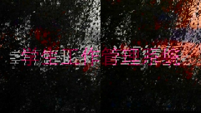 学生工作管理系统