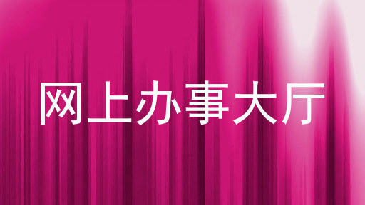 网上办事大厅