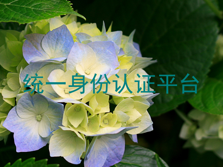 统一身份认证平台