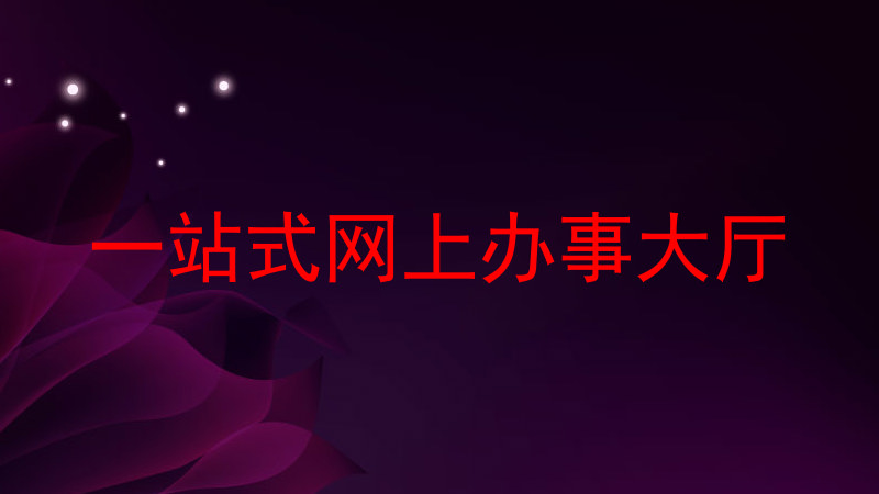 一站式网上办事大厅