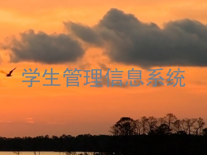学生管理信息系统