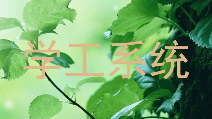 学工系统