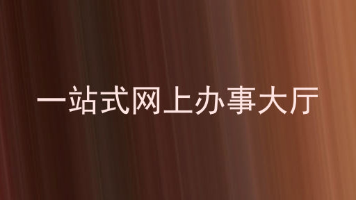 一站式网上办事大厅