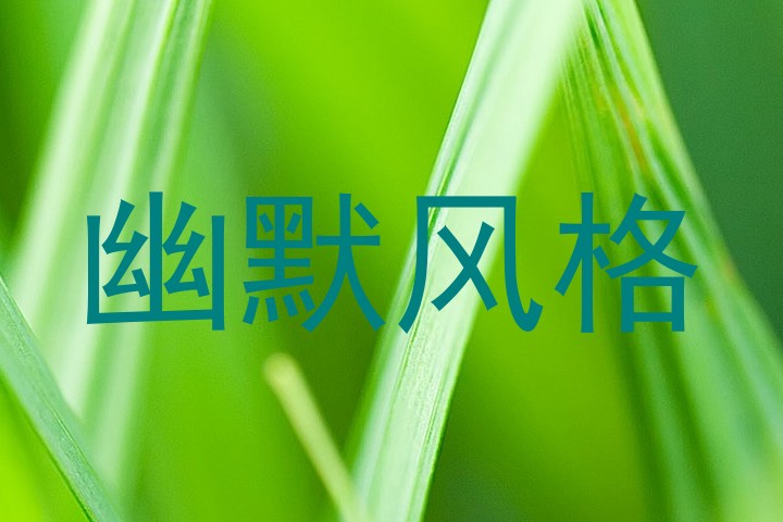 幽默风格