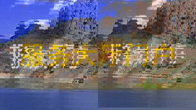 服务大厅门户