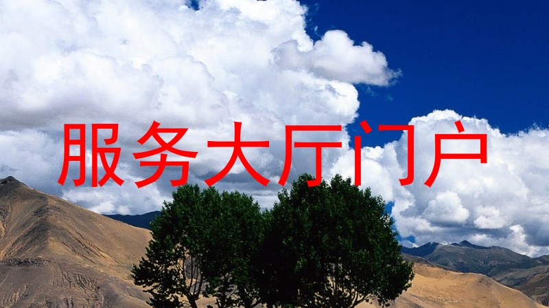 服务大厅门户