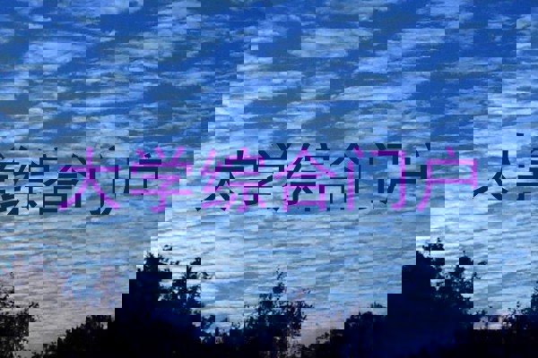大学综合门户