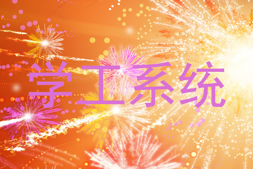 学工系统
