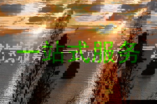 一站式服务