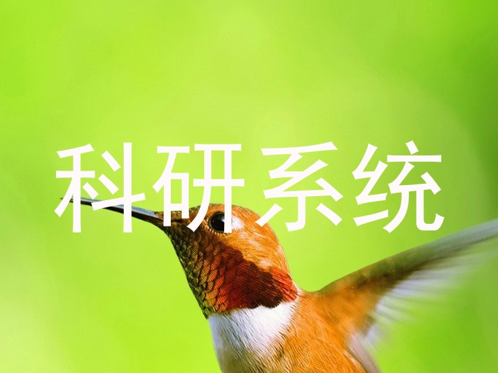 科研系统